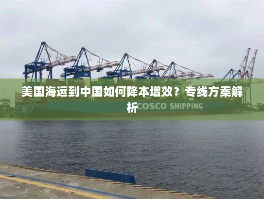 美国海运到中国如何降本增效？专线方案解析