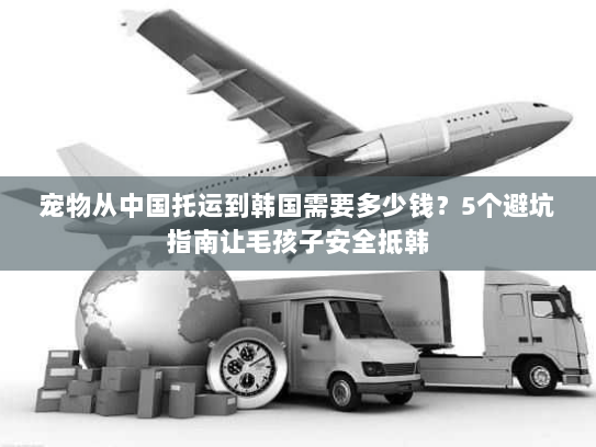 宠物从中国托运到韩国需要多少钱？5个避坑指南让毛孩子安全抵韩