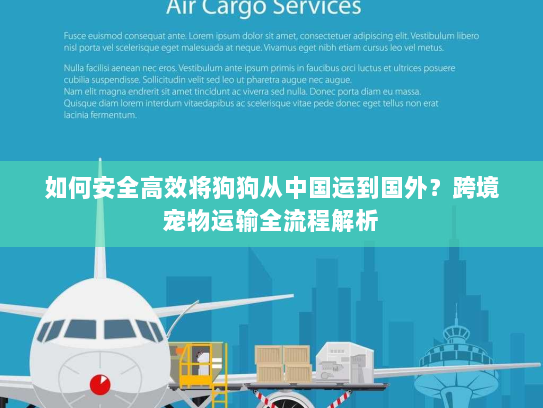 如何安全高效将狗狗从中国运到国外?跨境宠物运输全流程解析 如何安全高效将狗狗从中国运到国外?跨境宠物运输全流程解析