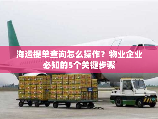 海运提单查询怎么操作？物业企业必知的5个关键步骤