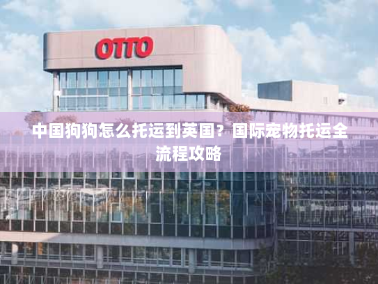 中国狗狗怎么托运到英国?国际宠物托运全流程攻略 中国狗狗怎么托运到英国?国际宠物托运全流程攻略