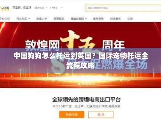 中国狗狗怎么托运到英国?国际宠物托运全流程攻略 中国狗狗怎么托运到英国?国际宠物托运全流程攻略