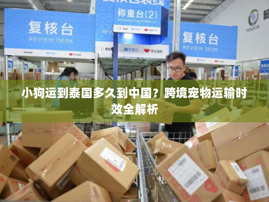 小狗运到泰国多久到中国？跨境宠物运输时效全解析
