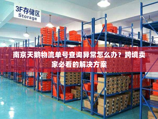 南京天鹅物流单号查询异常怎么办？跨境卖家必看的解决方案