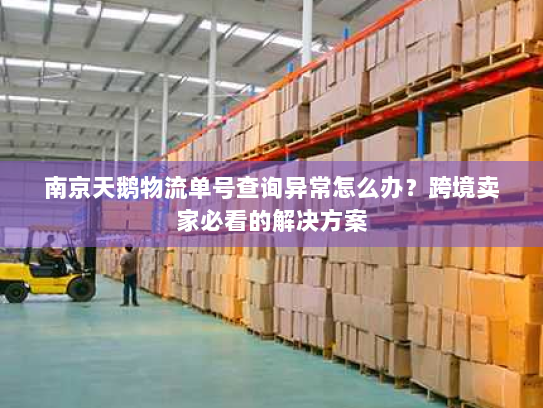 南京天鹅物流单号查询异常怎么办？跨境卖家必看的解决方案