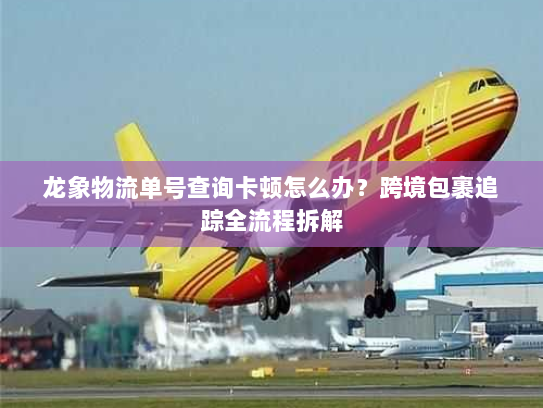 龙象物流单号查询卡顿怎么办？跨境包裹追踪全流程拆解