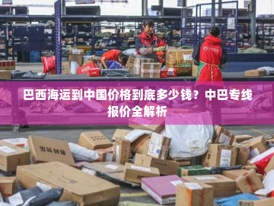 巴西海运到中国价格到底多少钱？中巴专线报价全解析