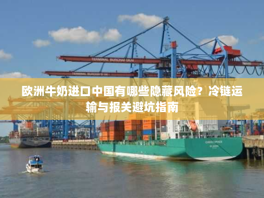 欧洲牛奶进口中国有哪些隐藏风险?冷链运输与报关避坑指南 欧洲牛奶进口中国有哪些隐藏风险?冷链运输与报关避坑指南