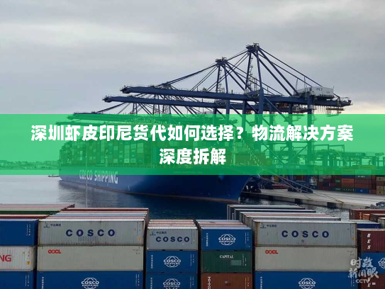 深圳虾皮印尼货代如何选择?物流解决方案深度拆解 深圳虾皮印尼货代如何选择?物流解决方案深度拆解