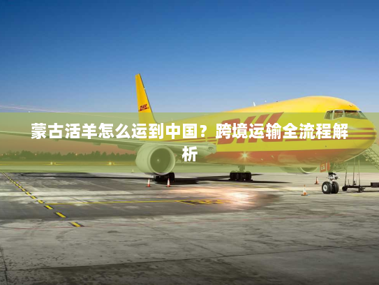 蒙古活羊怎么运到中国?跨境运输全流程解析 蒙古活羊怎么运到中国?跨境运输全流程解析