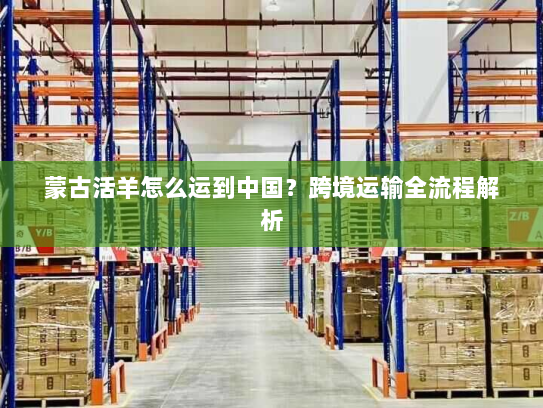 蒙古活羊怎么运到中国?跨境运输全流程解析 蒙古活羊怎么运到中国?跨境运输全流程解析