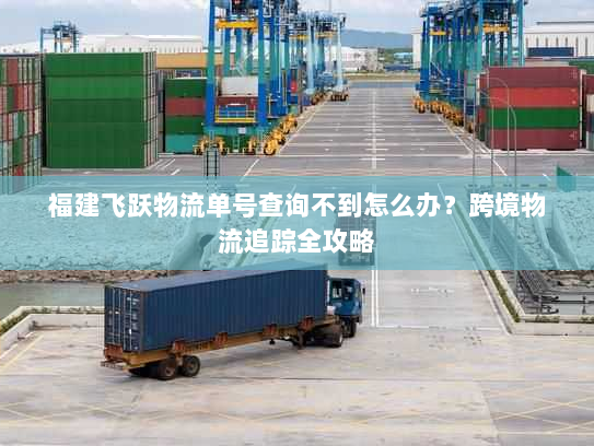 福建飞跃物流单号查询不到怎么办？跨境物流追踪全攻略