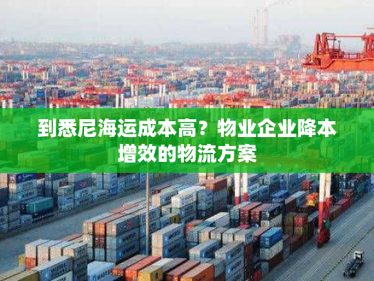 到悉尼海运成本高？物业企业降本增效的物流方案