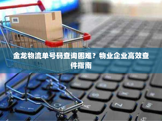 金龙物流单号码查询困难?物业企业高效查件指南 金龙物流单号码查询困难?物业企业高效查件指南