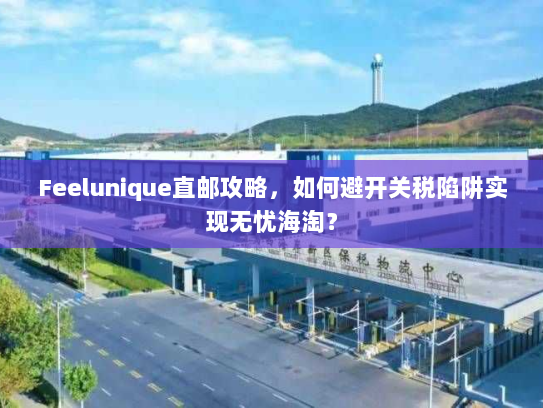 Feelunique直邮攻略，如何避开关税陷阱实现无忧海淘？
