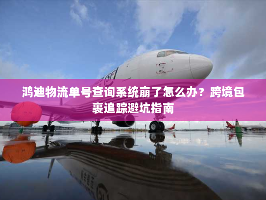 鸿迪物流单号查询系统崩了怎么办?跨境包裹追踪避坑指南 鸿迪物流单号查询系统崩了怎么办?跨境包裹追踪避坑指南