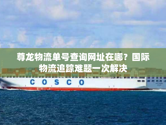 尊龙物流单号查询网址在哪？国际物流追踪难题一次解决