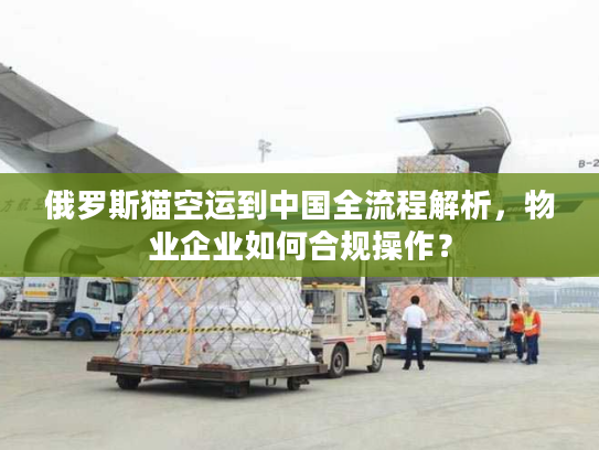 俄罗斯猫空运到中国全流程解析，物业企业如何合规操作？