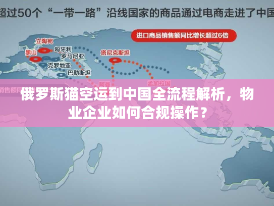 俄罗斯猫空运到中国全流程解析，物业企业如何合规操作？