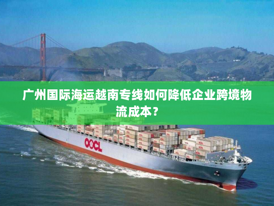 广州国际海运越南专线如何降低企业跨境物流成本？