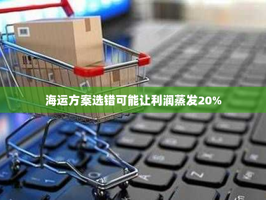 海运方案选错可能让利润蒸发20%