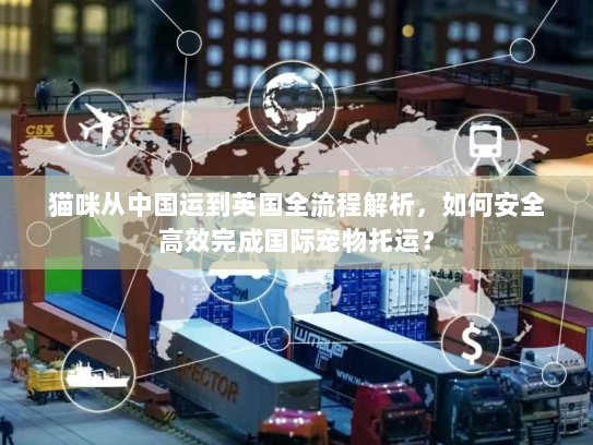 猫咪从中国运到英国全流程解析,如何安全高效完成国际宠物托运? 猫咪从中国运到英国全流程解析,如何安全高效完成国际宠物托运?