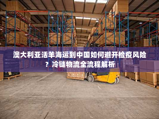 澳大利亚活羊海运到中国如何避开检疫风险？冷链物流全流程解析