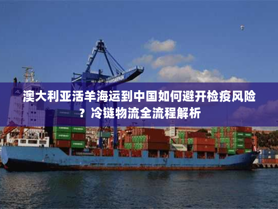 澳大利亚活羊海运到中国如何避开检疫风险?冷链物流全流程解析 澳大利亚活羊海运到中国如何避开检疫风险?冷链物流全流程解析