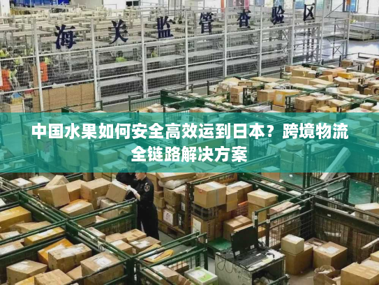 中国水果如何安全高效运到日本?跨境物流全链路解决方案 中国水果如何安全高效运到日本?跨境物流全链路解决方案