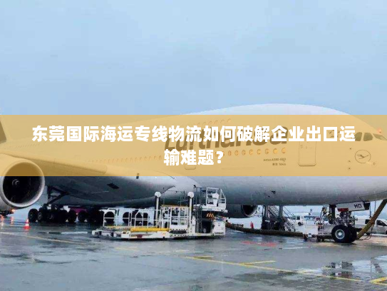 东莞国际海运专线物流如何破解企业出口运输难题？