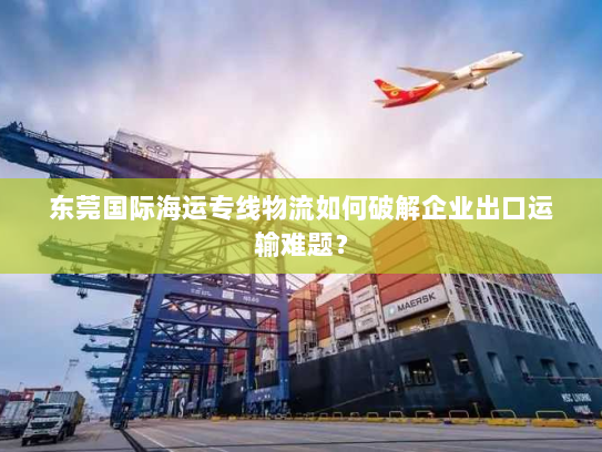 东莞国际海运专线物流如何破解企业出口运输难题？