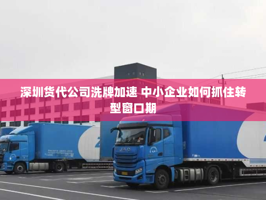 深圳货代公司洗牌加速 中小企业如何抓住转型窗口期 深圳货代公司洗牌加速 中小企业如何抓住转型窗口期