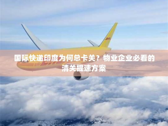 国际快递印度为何总卡关?物业企业必看的清关提速方案 国际快递印度为何总卡关?物业企业必看的清关提速方案