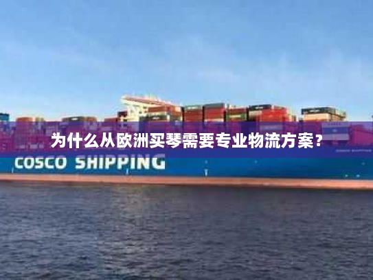 为什么从欧洲买琴需要专业物流方案? 为什么从欧洲买琴需要专业物流方案?