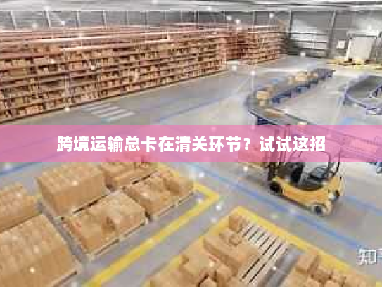 跨境运输总卡在清关环节?试试这招 跨境运输总卡在清关环节?试试这招