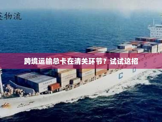 跨境运输总卡在清关环节?试试这招 跨境运输总卡在清关环节?试试这招