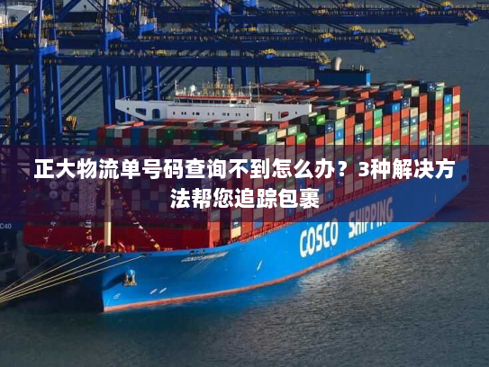 正大物流单号码查询不到怎么办？3种解决方法帮您追踪包裹