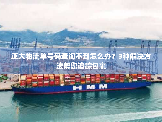 正大物流单号码查询不到怎么办?3种解决方法帮您追踪包裹 正大物流单号码查询不到怎么办?3种解决方法帮您追踪包裹