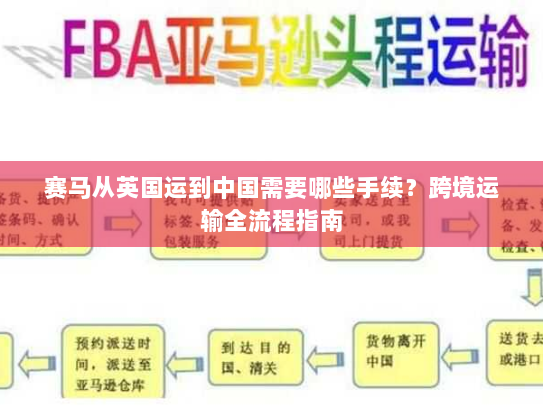 赛马从英国运到中国需要哪些手续?跨境运输全流程指南 赛马从英国运到中国需要哪些手续?跨境运输全流程指南