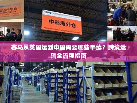赛马从英国运到中国需要哪些手续?跨境运输全流程指南 赛马从英国运到中国需要哪些手续?跨境运输全流程指南