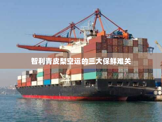 智利青皮梨空运的三大保鲜难关 智利青皮梨空运的三大保鲜难关