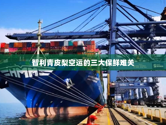 智利青皮梨空运的三大保鲜难关 智利青皮梨空运的三大保鲜难关