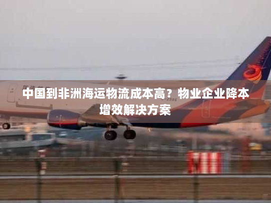 中国到非洲海运物流成本高?物业企业降本增效解决方案 中国到非洲海运物流成本高?物业企业降本增效解决方案