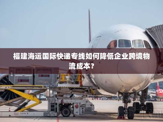 福建海运国际快递专线如何降低企业跨境物流成本？