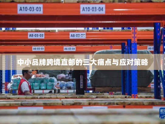 中小品牌跨境直邮的三大痛点与应对策略 中小品牌跨境直邮的三大痛点与应对策略