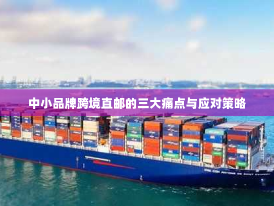 中小品牌跨境直邮的三大痛点与应对策略 中小品牌跨境直邮的三大痛点与应对策略