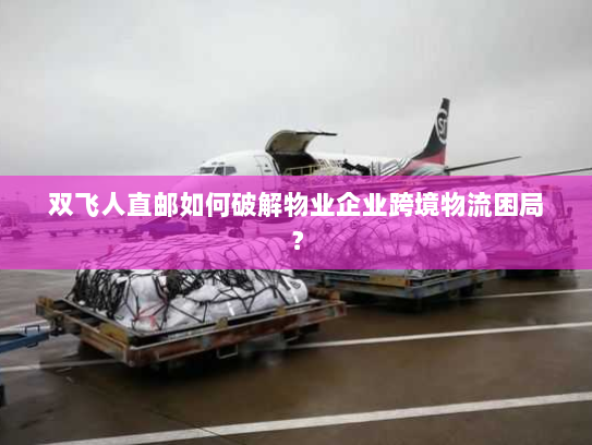 双飞人直邮如何破解物业企业跨境物流困局? 双飞人直邮如何破解物业企业跨境物流困局?