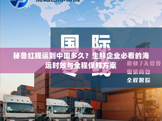 秘鲁红提运到中国多久？生鲜企业必看的海运时效与全程保鲜方案