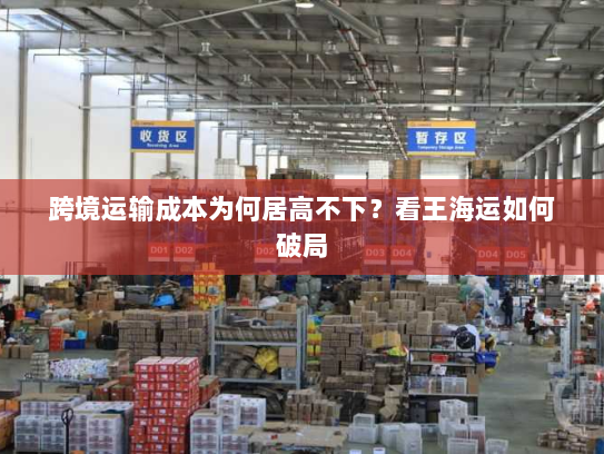 跨境运输成本为何居高不下?看王海运如何破局 跨境运输成本为何居高不下?看王海运如何破局