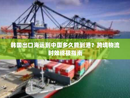 韩国出口海运到中国多久能到港?跨境物流时效终极指南 韩国出口海运到中国多久能到港?跨境物流时效终极指南